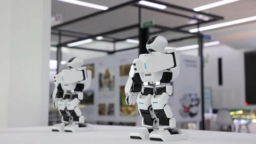 科技赋能大运，智慧点亮蓉城——成都市民抢先体验大运科技产品与服务